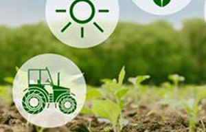 bueno-saber-la-ecosostenibilidad-como-guia-hacia-la-agricultura-del-futuro.htm
